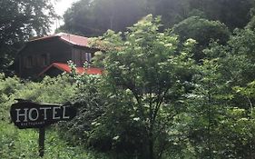 Hôtel Restaurant La Fourmi